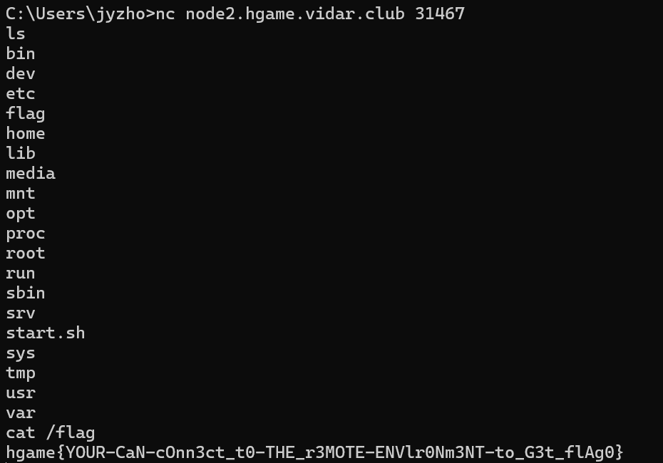 image-20250204110335189